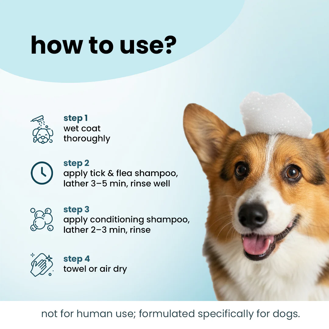 Nootie Dirty Doggie Combo: Conditioning Shampoo + Tick & Flea Shampoo (300 ml Buy1Get1 FREE) | Neem, Vitamin E & Coat Repair - Image 3