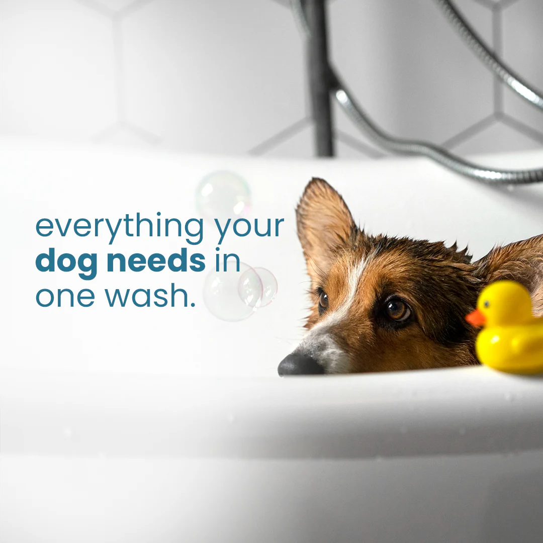 Nootie Dirty Doggie Combo: Conditioning Shampoo + Tick & Flea Shampoo (300 ml Buy1Get1 FREE) | Neem, Vitamin E & Coat Repair - Image 6