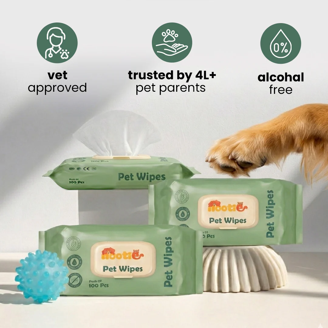 Nootie Wet Pet Wipes (100 Pulls) – Gentle Cleaning Wipes for Dogs & Cats | Alcohol-Free, Paraben-Free & Soap-Free - Image 3