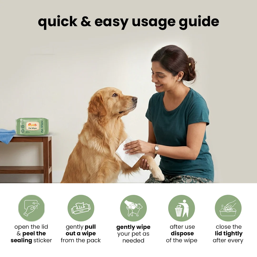 Nootie Wet Pet Wipes (100 Pulls) – Gentle Cleaning Wipes for Dogs & Cats | Alcohol-Free, Paraben-Free & Soap-Free - Image 5