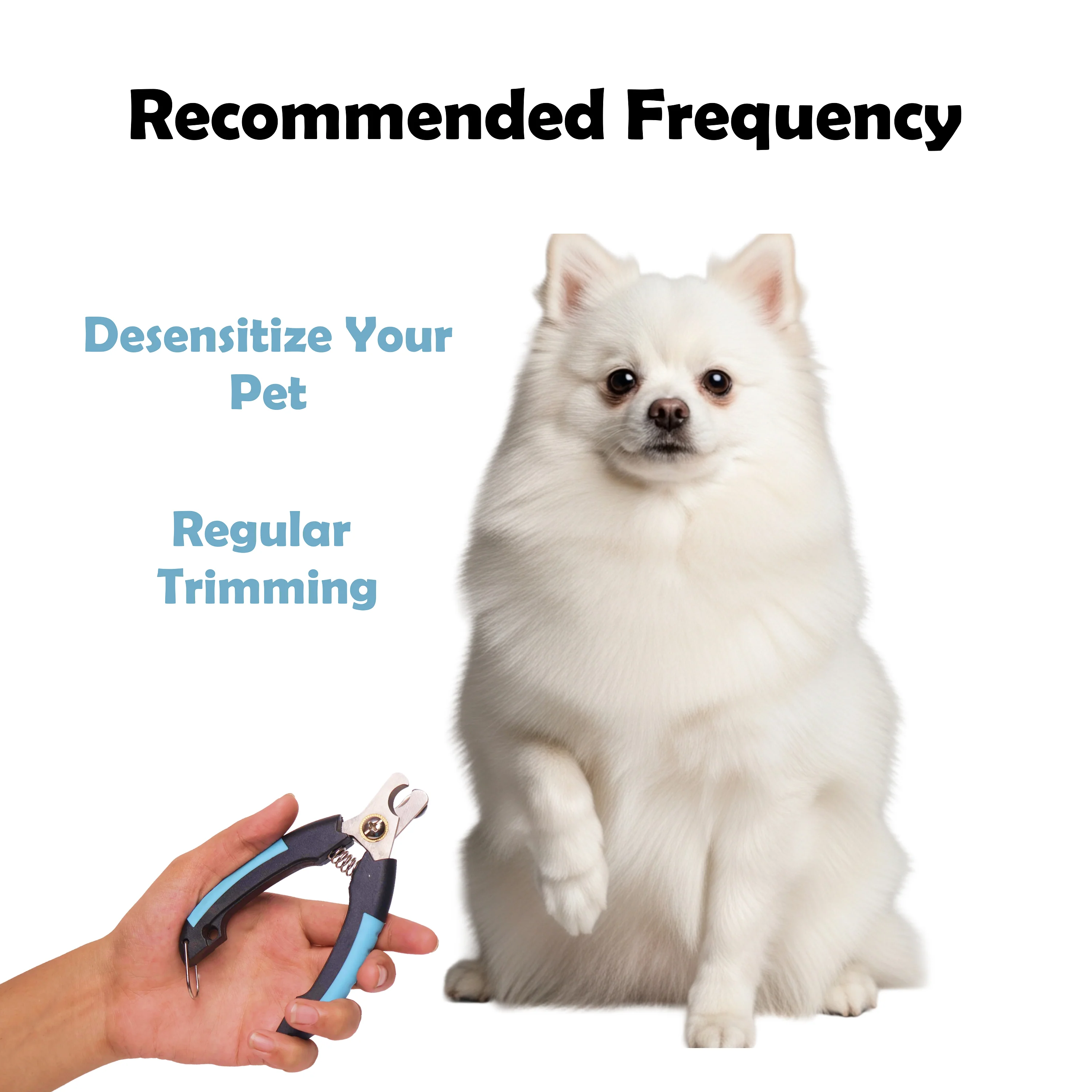 Furrtoolz Premium Nail Cutter | Safe Guard, Sharp Blades & Anti-Slip Grip - Image 8