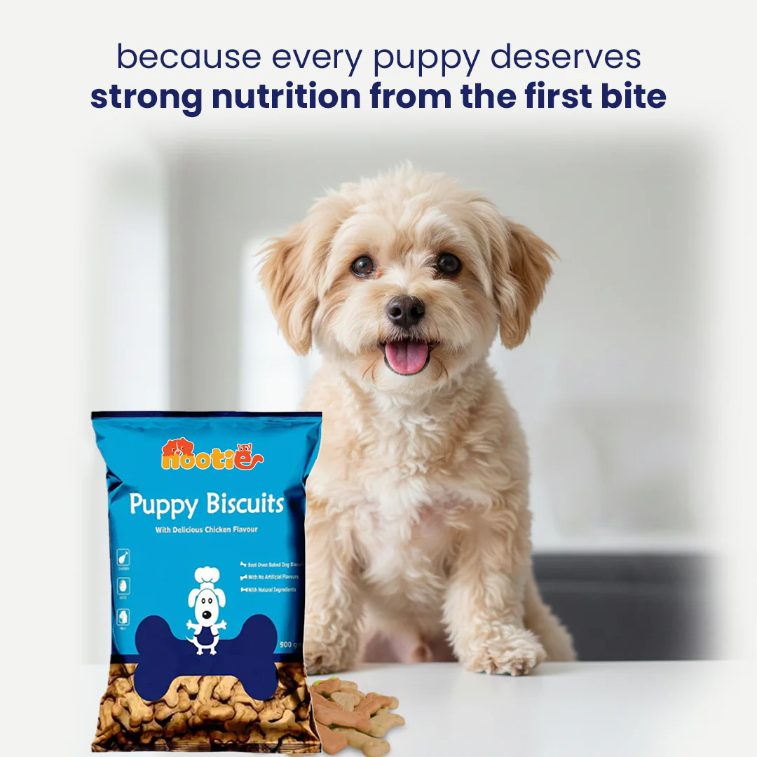 Nootie Chicken Biscuits with Peanut Butter Flavour for Puppies (900g) | High-Protein, Crunchy Growth Snack - Image 10