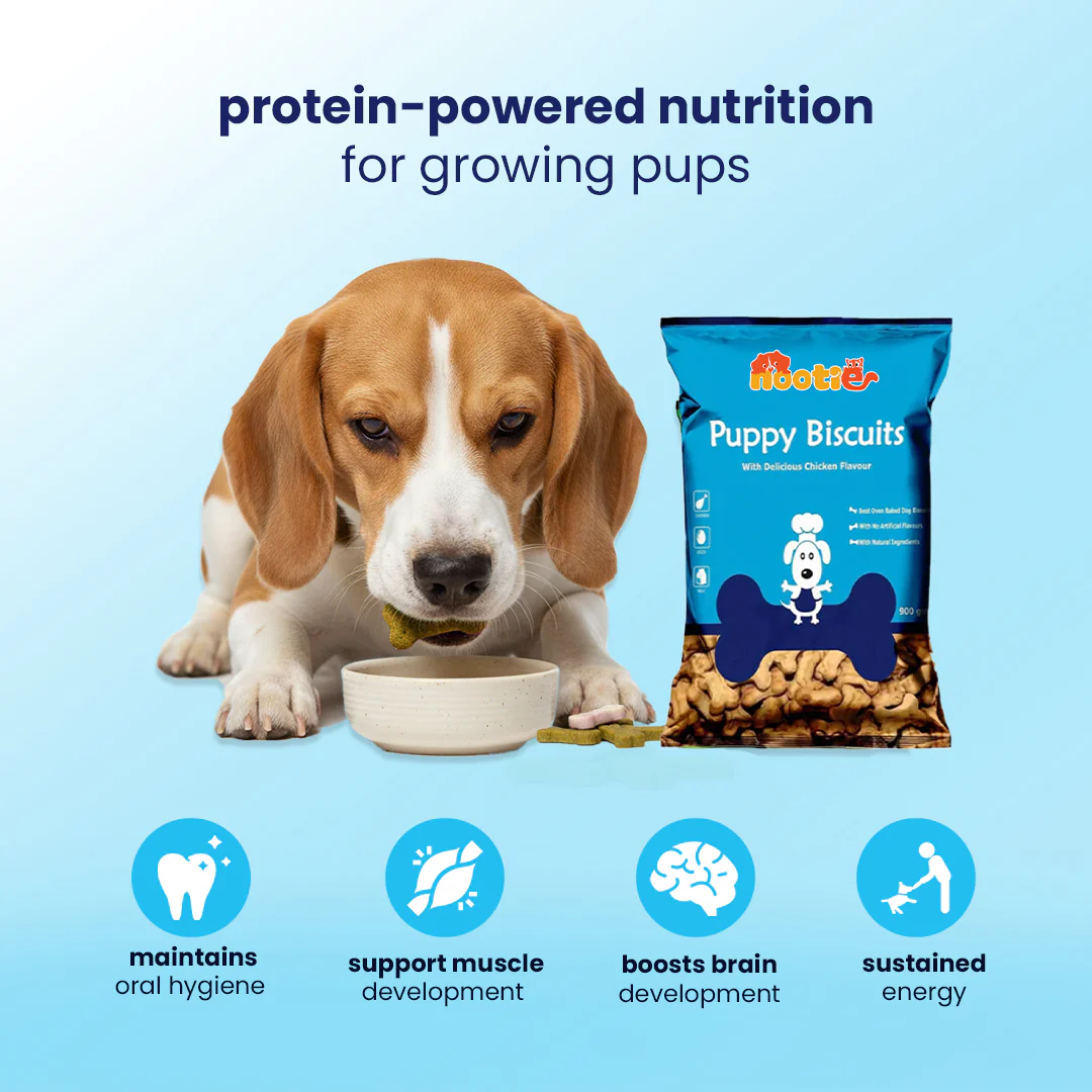 Nootie Chicken Biscuits with Peanut Butter Flavour for Puppies (900g) | High-Protein, Crunchy Growth Snack - Image 5