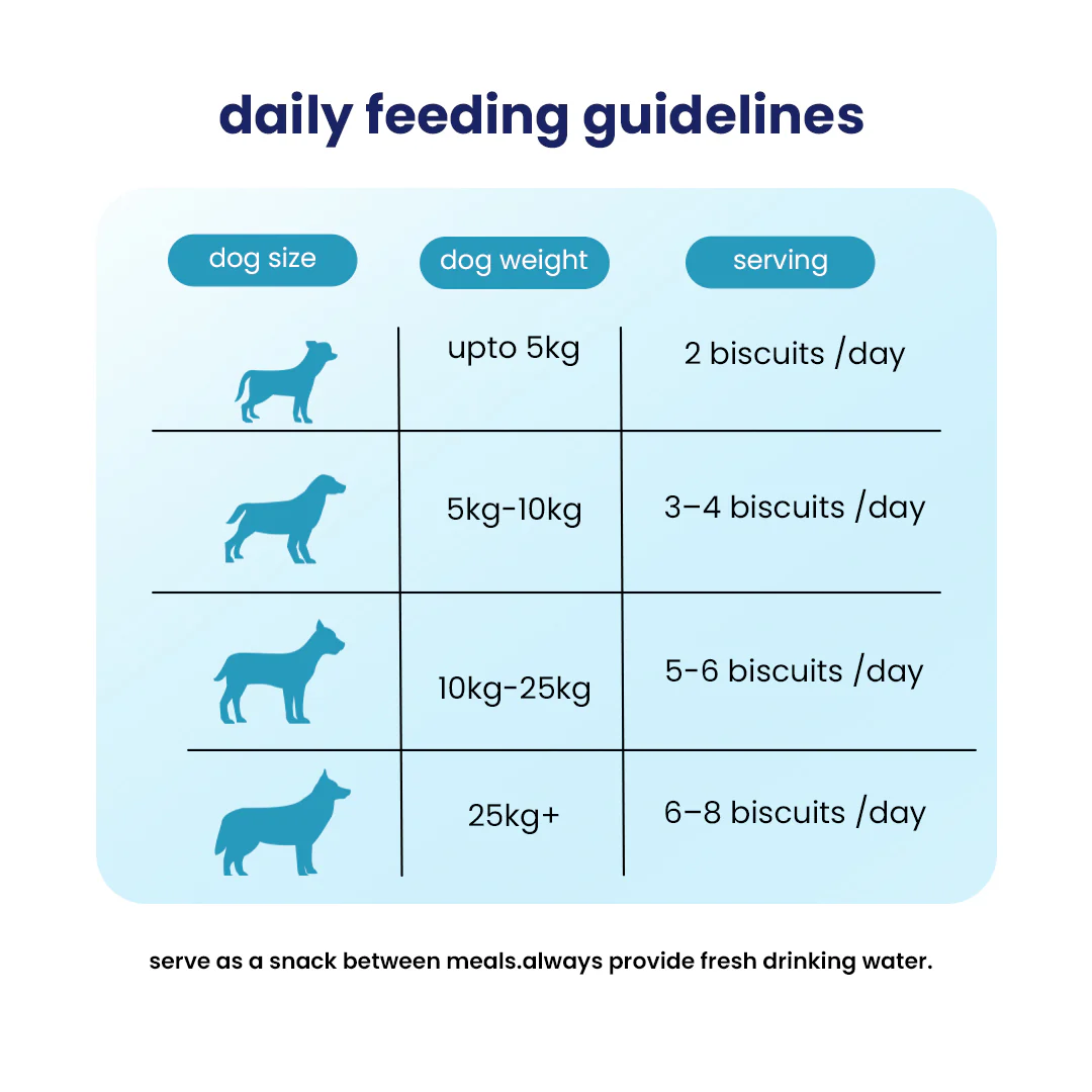 Nootie Chicken Biscuits with Peanut Butter Flavour for Puppies (900g) | High-Protein, Crunchy Growth Snack - Image 7