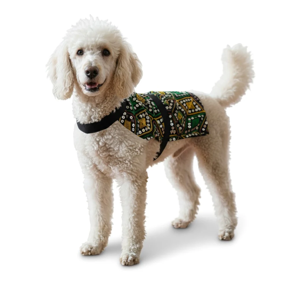 Nootie Festive Dress for Female Dogs – Black | Stylish Outfit for Weddings & Festivals - Image 4