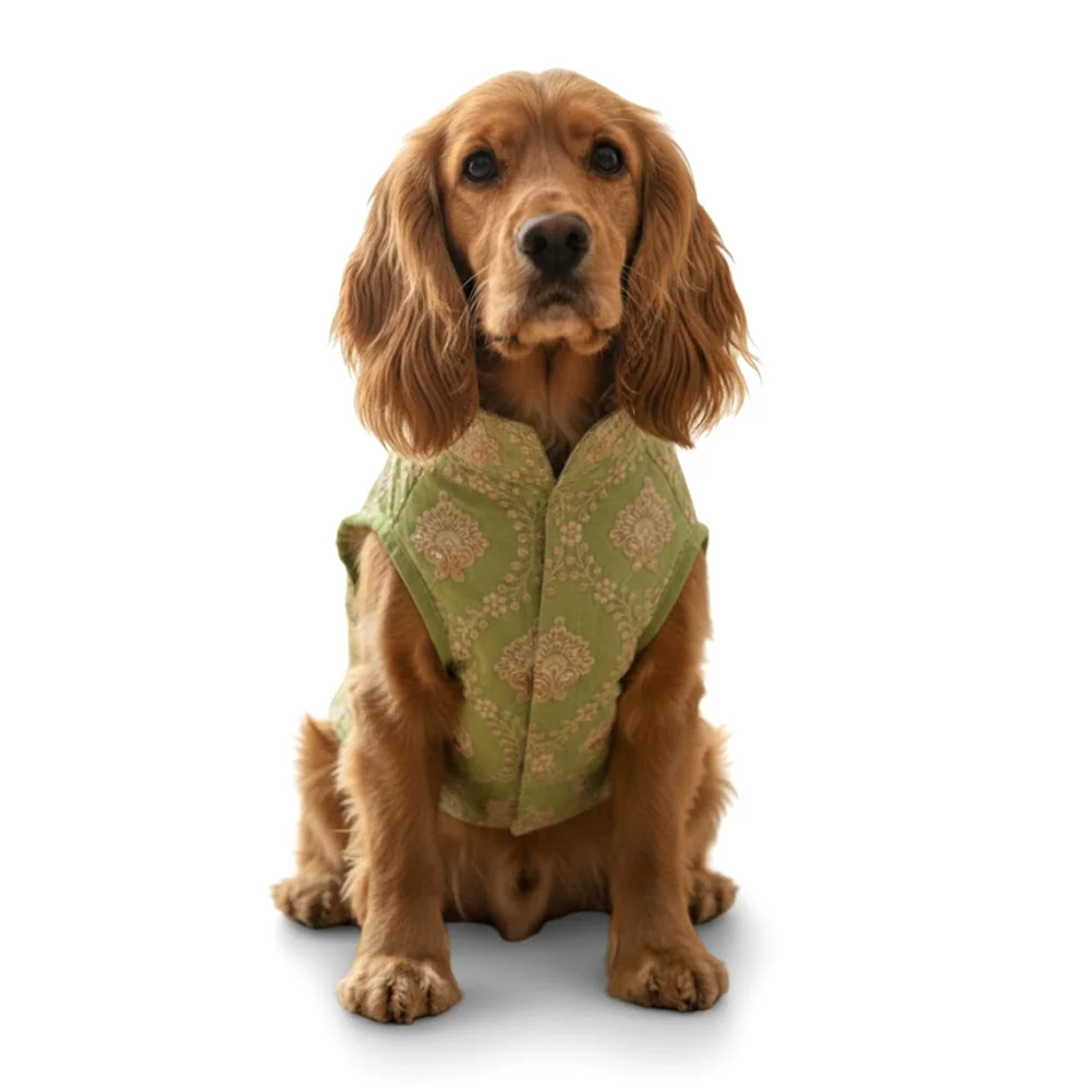 Nootie Festive Sherwani for Dogs – Parrot Green | Traditional Indian Ethnic Wear for Pets - Image 6