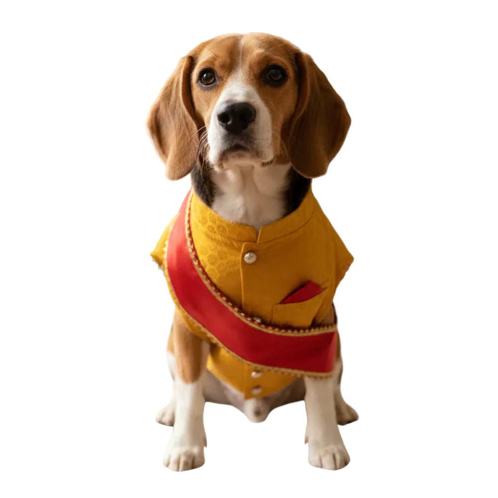 Nootie Festive Sherwani with Chunni for Pets – Yellow | Stylish Outfit for Weddings & Festivals - Image 9