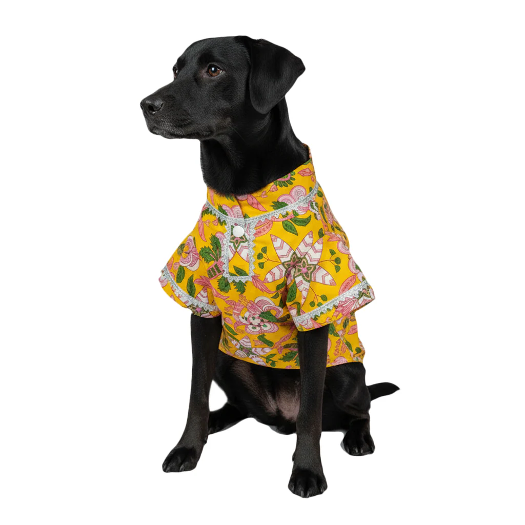 Nootie Floral Print Kurta – Yellow | Traditional Ethnic Outfit for Dogs - Image 7