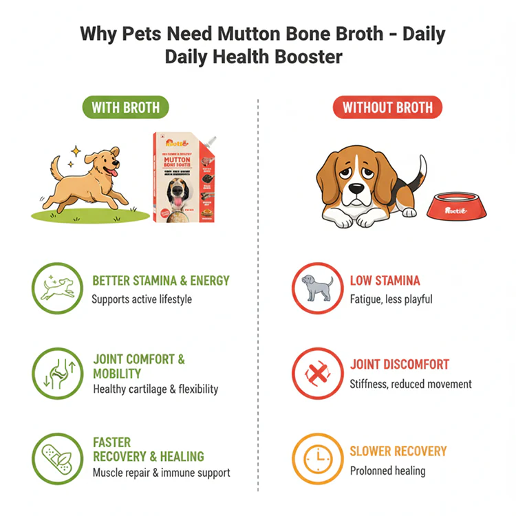 Nootie Natural Mutton Broth for Dogs & Cats – Nutrient-Rich, Hydrating Meal Topper (100ml) - Image 6