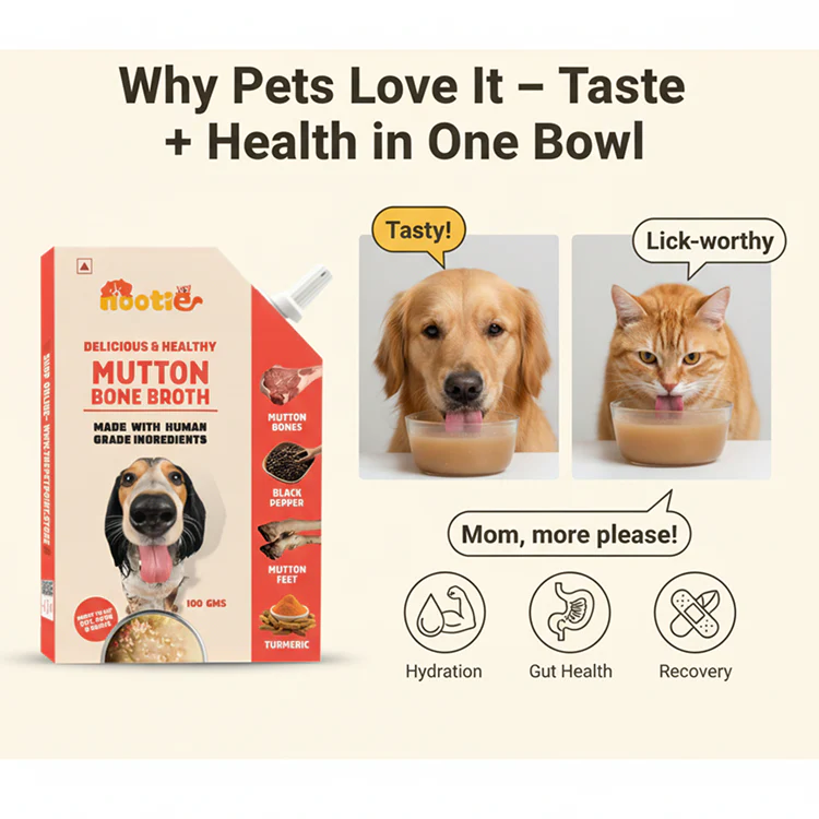 Nootie Natural Mutton Broth for Dogs & Cats – Nutrient-Rich, Hydrating Meal Topper (100ml) - Image 8