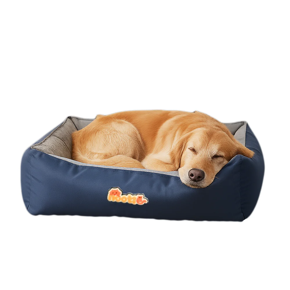 Nootie Sofa Basket Bed for Dogs & Cats – Small (22" x 17" x 6") | Velvet Interior, Mat Exterior, Washable & Scratch-Resistant - Image 13