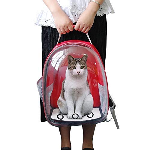 Nootie Transparent Pet Travel Bag for Cats & Dogs | Breathable PVC Backpack Carrier with Ventilation | Ideal for Small Pets up to 6.5 kg - Image 3