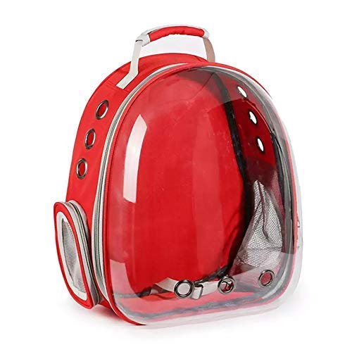 Nootie Transparent Pet Travel Bag for Cats & Dogs | Breathable PVC Backpack Carrier with Ventilation | Ideal for Small Pets up to 6.5 kg - Image 4