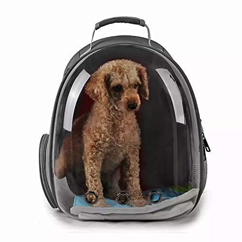 Nootie Transparent Pet Travel Bag for Cats & Dogs | Breathable PVC Backpack Carrier with Ventilation | Ideal for Small Pets up to 6.5 kg - Image 6