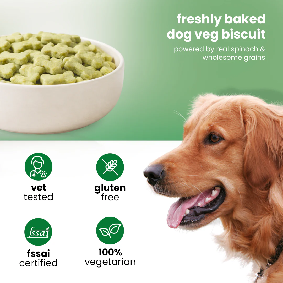 Nootie Veg Biscuits with Spinach Flavour for Adult Dogs (900g) | 100% Vegetarian, High-Fibre, Nutrient-Rich Treats - Image 3