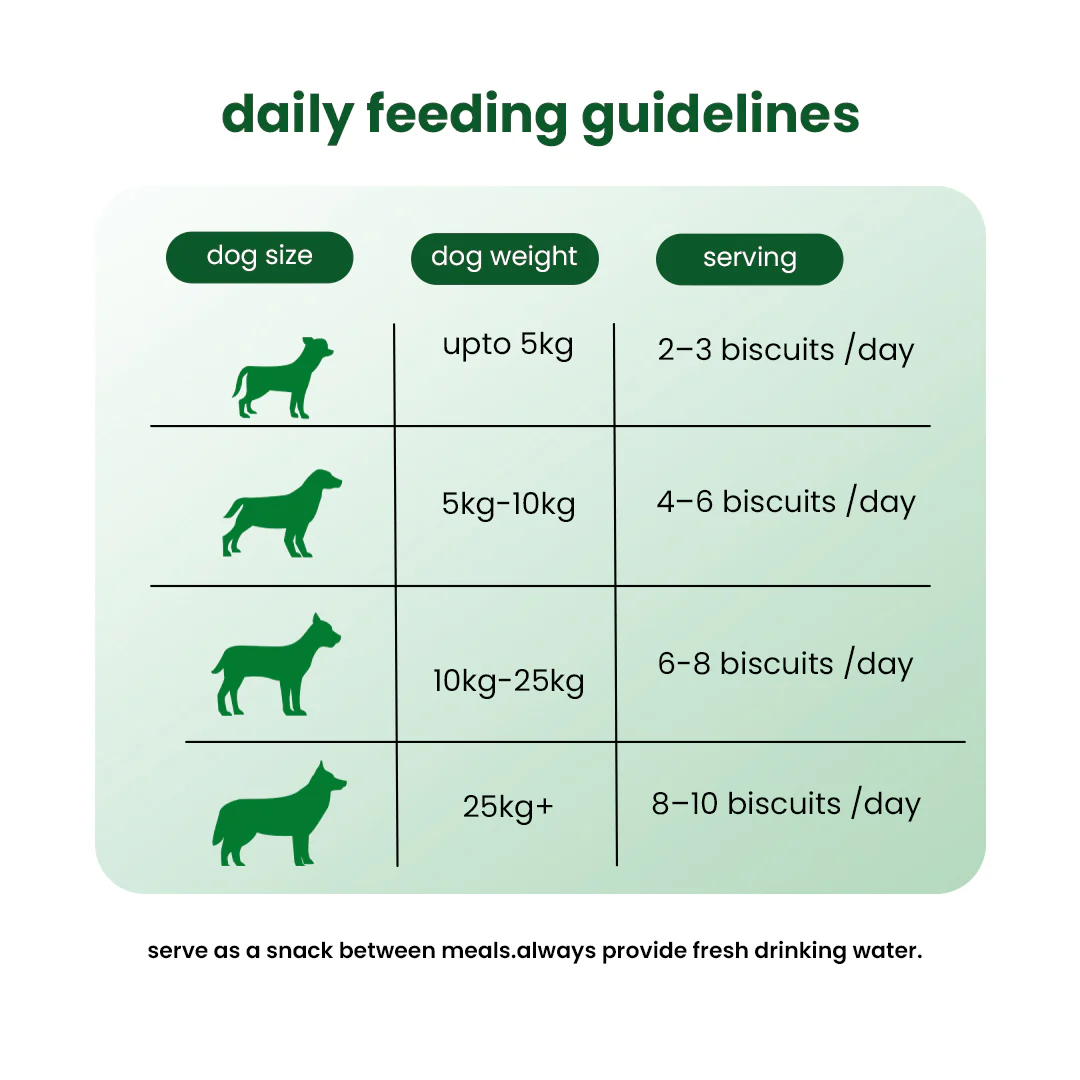 Nootie Veg Biscuits with Spinach Flavour for Adult Dogs (900g) | 100% Vegetarian, High-Fibre, Nutrient-Rich Treats - Image 7